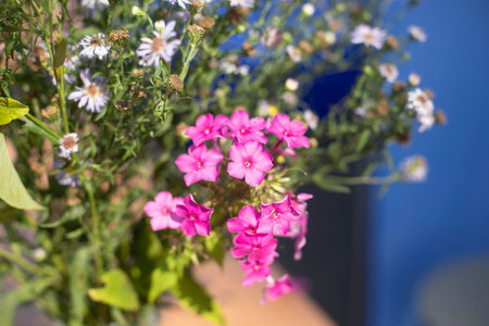Flowers in summer. Wildflowers. Beautiful inflorescence of plants. Bouquet in vase.の写真素材