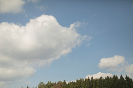 Clouds over the forest. White clouds in the sky. The forest is on the horizon.の写真素材