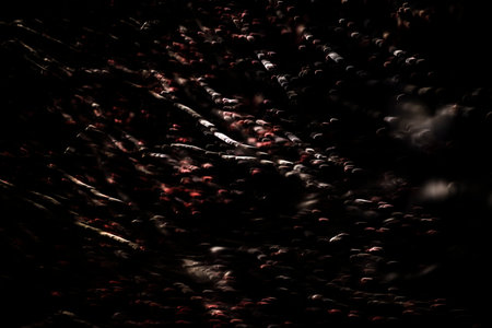 Black hawthorn texture. Branches of plant in dark. Blurred branch background. Chaotic shooting.の写真素材