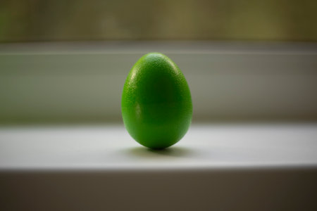 Green egg. Noise musical instrument. Shaker to create rhythm. Musical Egg.の写真素材