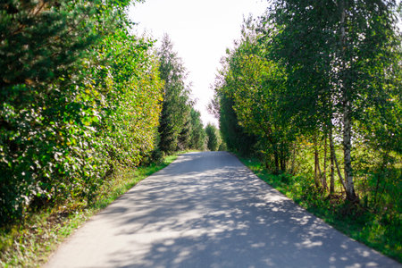 The Road to the Farm. Highway in the countryside. Narrow road in summer. A sunny day on an empty road.の写真素材
