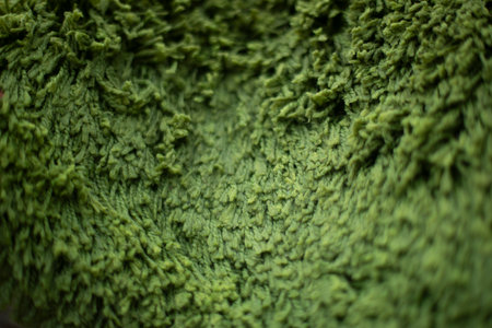 Carpet pile. Green carpet. Fabric texture. Wet Material.の写真素材