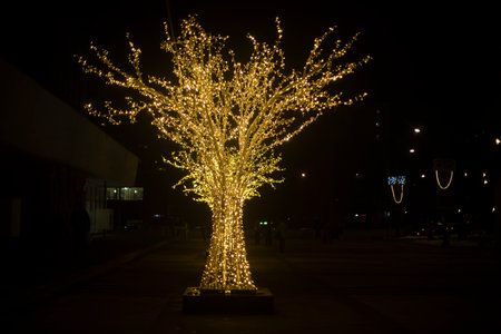 Wood made of garlands. Lots of lights. Light bulbs in the park. A tree decorates the park.の写真素材
