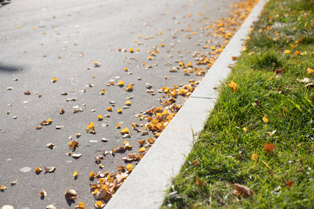 Leaves on the road. Park in autumn. Yellow leaves at the kerbstone. Part of the road.の写真素材