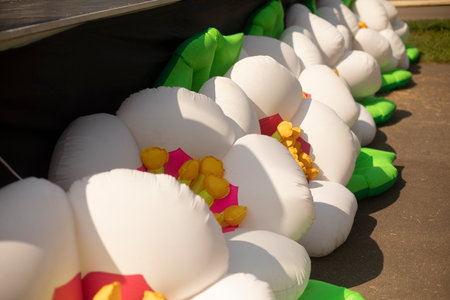 Inflatable structure near the stage. Inflatable flowers. Stage decoration. White inflatable flowers with green petals.の写真素材