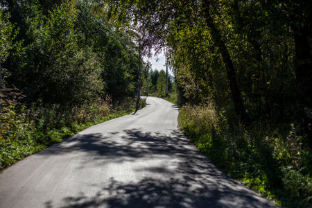 Empty road in summer. Rural road in sunlight. Track outside the city. Road without markings.の写真素材