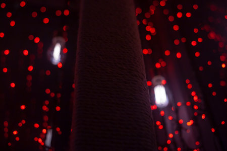 Red dots in space. Lights in dark. Red light bulbs. Lot of small lights in frame. Interior decoration.の写真素材