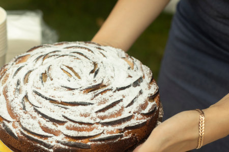 Apple pie in your hands. Delicious pastries from my grandmother. Sweet food. Folk baking recipe.