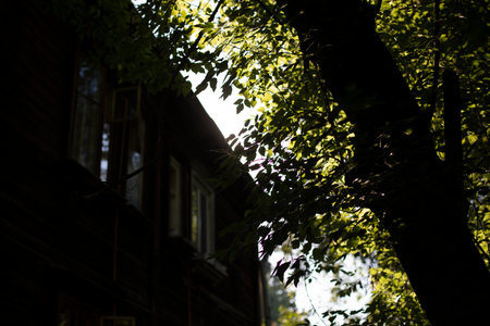 Old house in the shade of a tree. A large tree in the yard. Shadow on a building. Summer day in the city.の写真素材