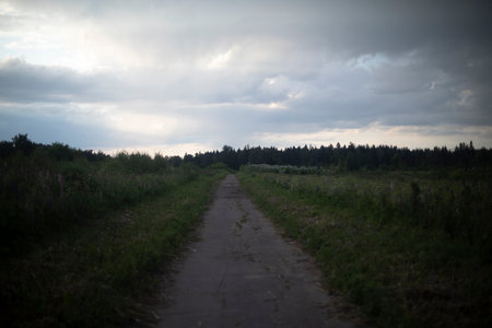 Road in the field. Rural road. Summer landscape. Empty road to horizon.の写真素材