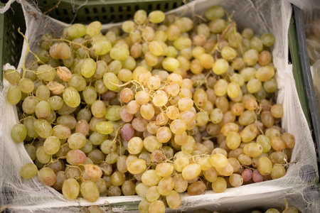Green grapes on the market. Sale of grapes. Fruits in the store. Healthy food.の写真素材