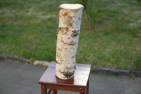 Birch log. Log for felling. firewood. tree stamp.の写真素材
