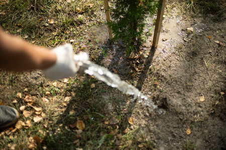 Watering trees. Water pours on the tree. Planting plants in the park. Seedling care.の写真素材