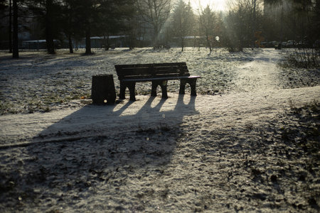 Bench in the park in winter. Empty bench on the street. A place for walking in the city. Frosty sunny day.の写真素材