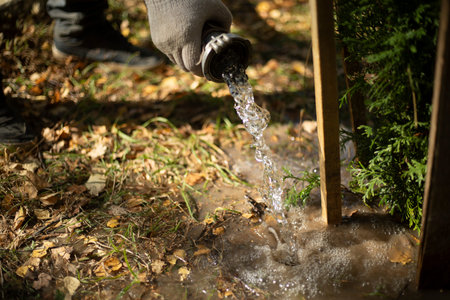 Watering plants in the park. Water pours on the ground. Caring for trees in the garden. Planting...