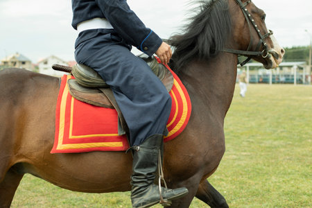 Horse rider in Russia. Horseback riding. Military animal. Details of demonstrating skills of rider.の写真素材