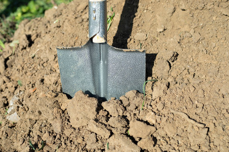 Shovel in the ground. Digging up soil. Garden tools. Work in the garden.の写真素材