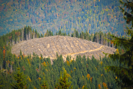Deforestated hilltopの写真素材