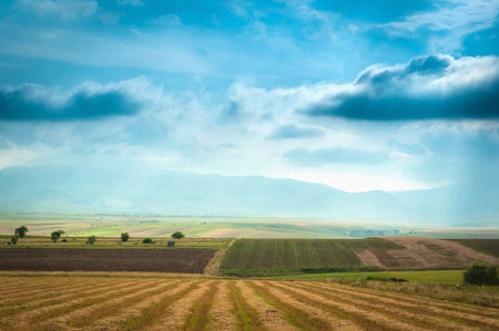 Open field landscape from Romania.の写真素材