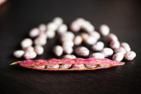 Pink spotted Borlotti or Cranberry beansの写真素材