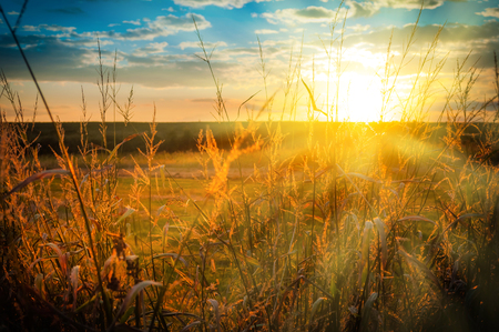 Sunset over the fieldsの写真素材