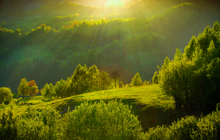 Spring is in the airの写真素材