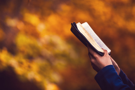 Reading the Bible in an autumn forestの写真素材