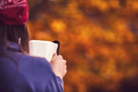 Reading the Bible in an autumn forestの写真素材