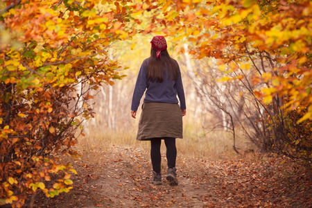 An autumn walk in the forestの写真素材