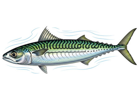 A beautifully rendered watercolor artwork of a mackerel fish. The painting captures the intricate details of its scales, fins, and distinctive wavy green markings. Perfect for culinary or marine themes.の素材