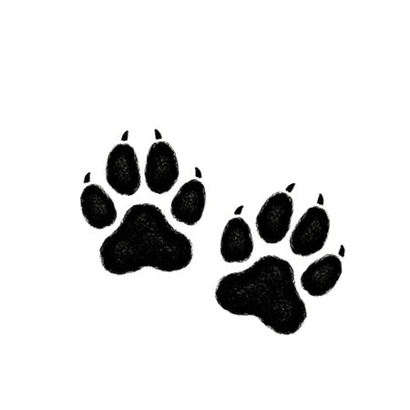 A pair of black paw prints are shown against a stark white background, highlighting their distinct shape and texture.の素材