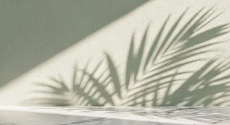Palm leaf shadow cast on a light textured wall and white marble floor, illuminated by natural sunlight. A minimalist background for product display or architectural concepts.の素材