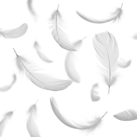 A serene image of numerous white feathers gently floating in a minimalistic white background, creating a sense of calm and tranquility.の素材