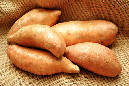 Close-Up of 5 Sweet Potatoes on Burlapの写真素材