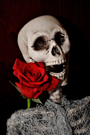 Laughing Skull with Red Rose