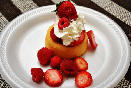 Delicious Berry Shortcakeの写真素材