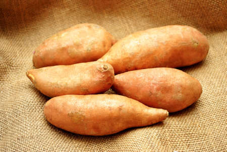 Five Sweet Potatoes on Burlapの写真素材