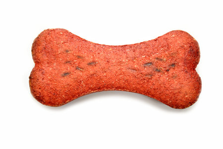 Doggy Bone Treat
