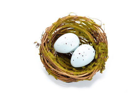 Birds Nest with Two Bird Eggsの写真素材