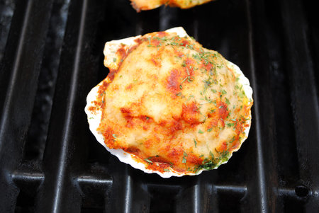 Stuffed Clam on a Summer Grillの写真素材