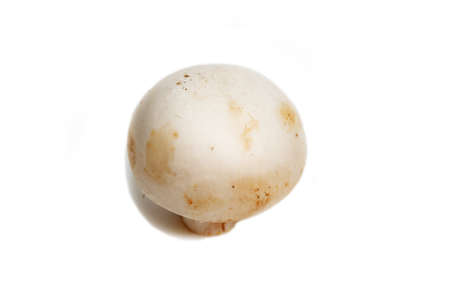Whole White Mushroom Isolated on a White Backgroundの写真素材