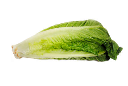 Fresh Organic Romain Lettuce Over a White Backgroundの写真素材