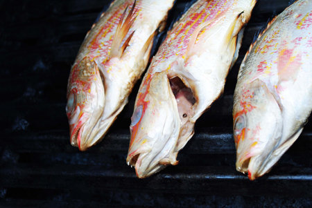 Grilling Fresh Whole Snapper on a Grill