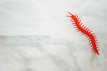 Toy Cenipede Crawling on a Thick Spider Webの写真素材