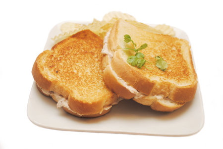 Tuna Melt Sandwichの写真素材