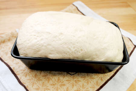 Raw Bread Dough Rising in an Oiled Baking Panの写真素材
