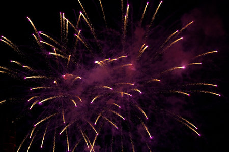 Fireworks exploding in the dark night sky