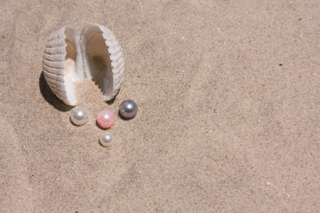 Seashell and pearls on the sand at the beachの写真素材