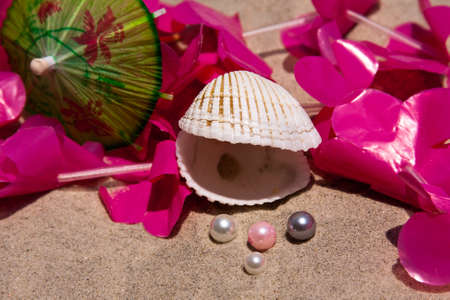 Seashell. pearls, umbrella and a lei on the sand at the beachの写真素材