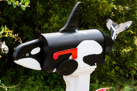 Wooden whale decor added to a metal mailbox